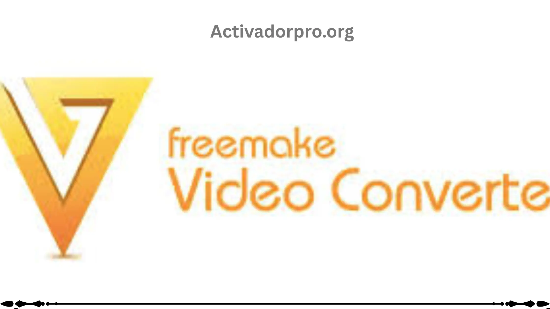 Activar Freemake Video Converter