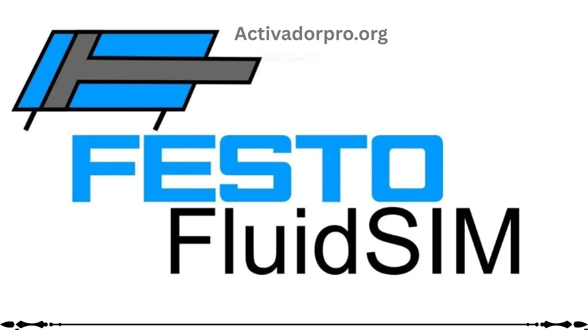 FluidSIM Activador