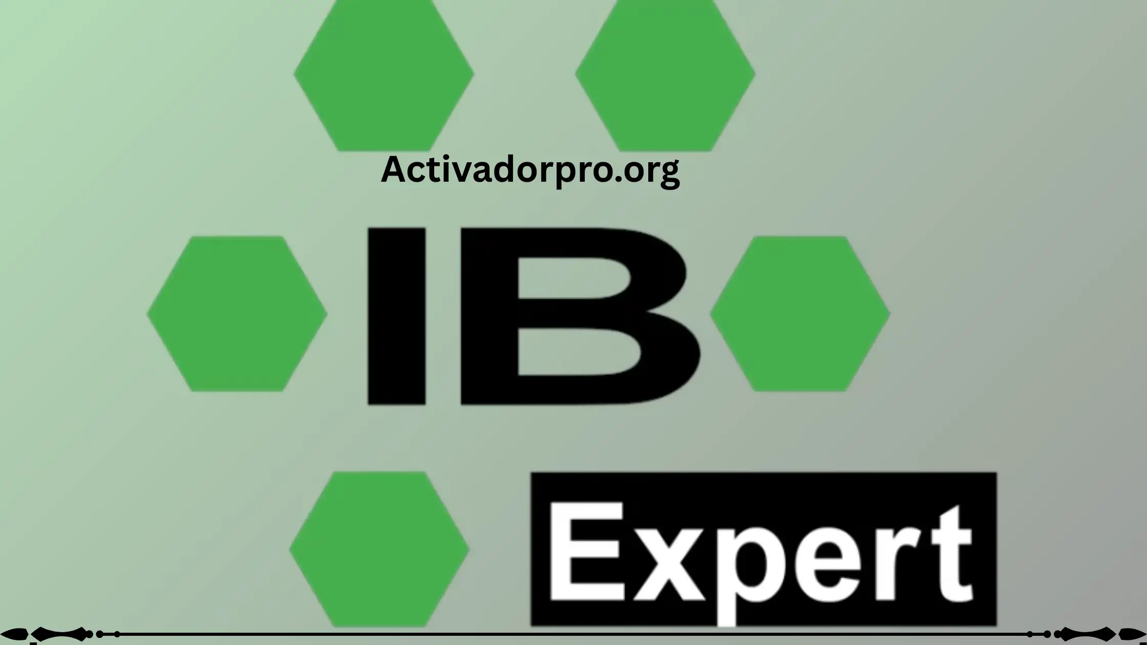 IBExpert