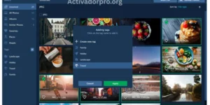 Movavi Photo Manager