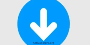 Any Video Downloader