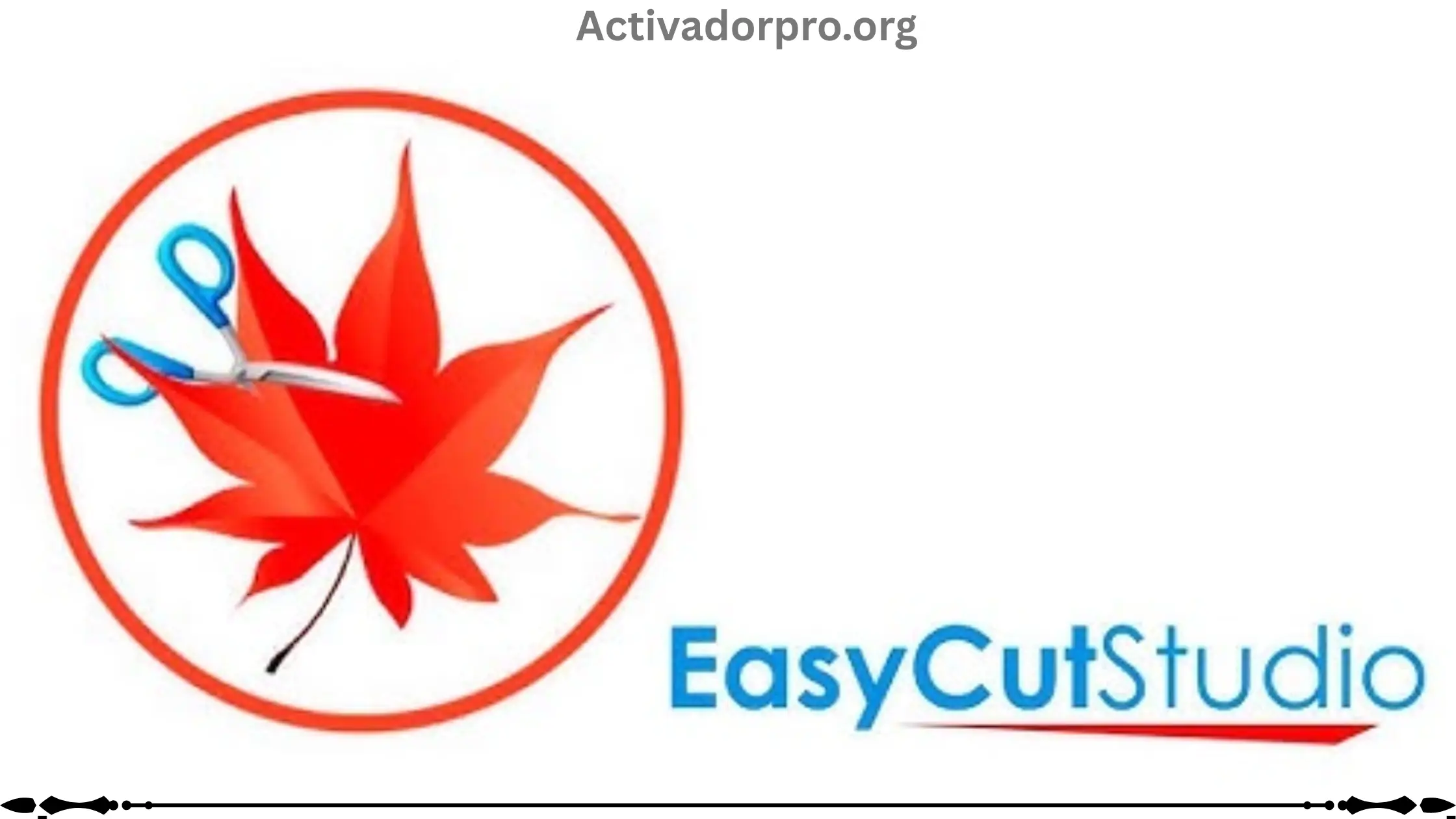Easy Cut Studio