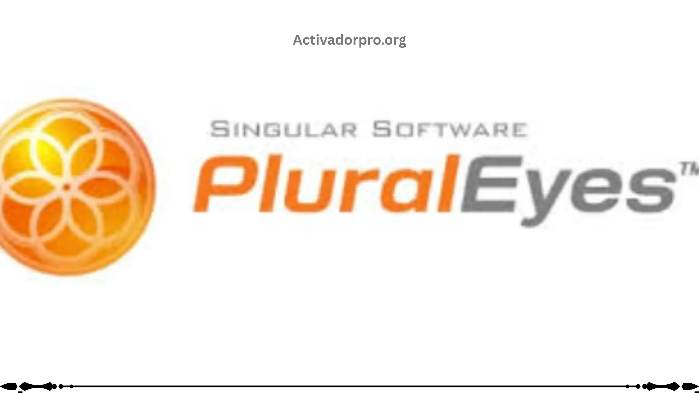PluralEyes